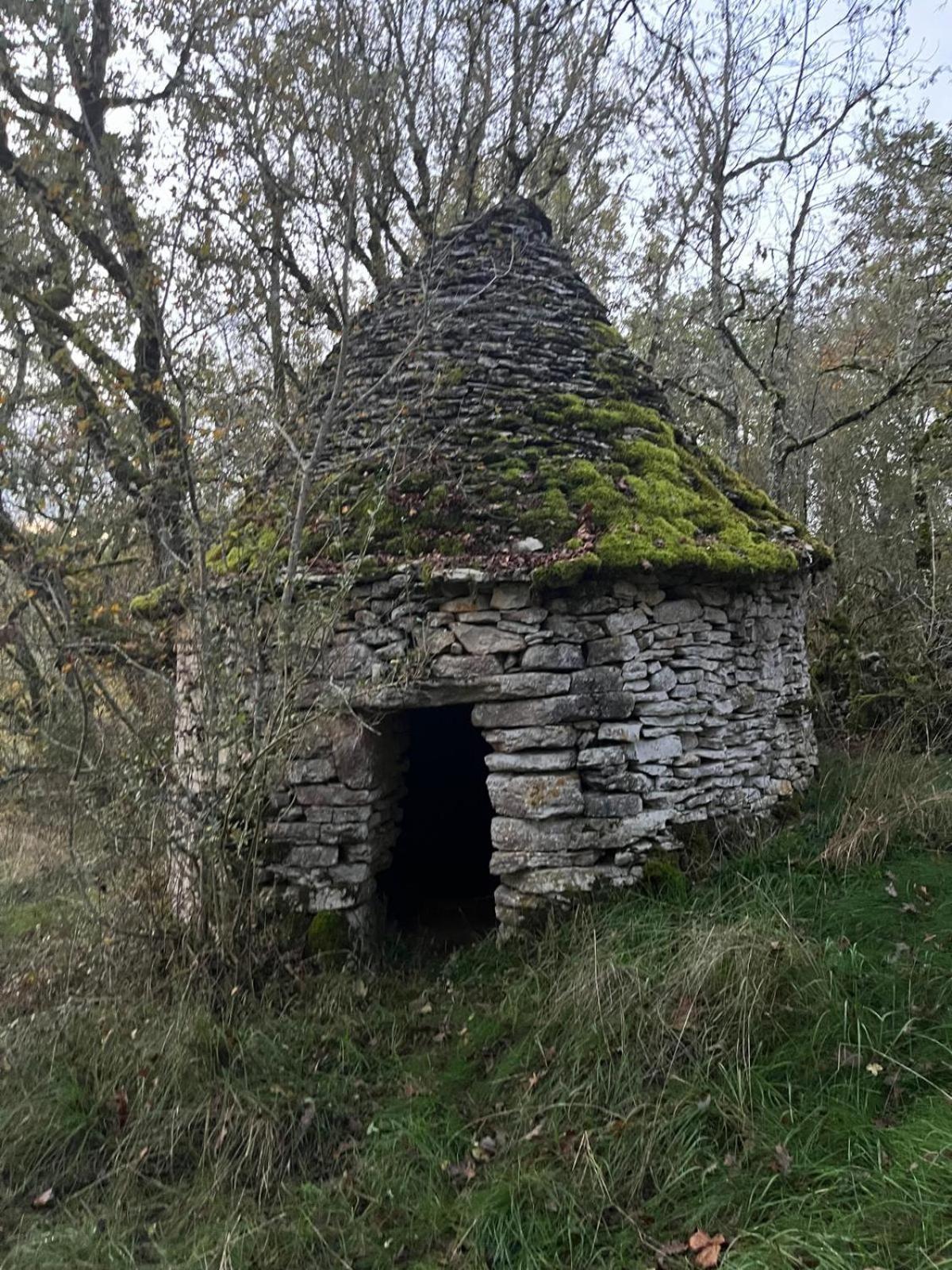 Aux Lodges Du Mas De Nadal Sauliac-sur-Célé Екстериор снимка